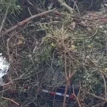 Ex-vereador de Januária morre em acidente com caminhão-tanque na BR-135 - Divulgação/CBMMG