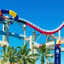 Guinness declara montanha-russa aquática brasileira como a mais alta do mundo - Beach Park/Divulgação