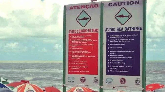 Placas de alerta em praias de risco, como as vistas, s&atilde;o cruciais para a preven&ccedil;&atilde;o de ataques de tubar&atilde;o, tema central desta reportagem. -  (crédito: Flickr /Luc&iacute;ola Correia/CreativeCommons)