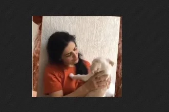 Justiça decide: cachorro Bertholdo deve voltar para Letícia Sabatella