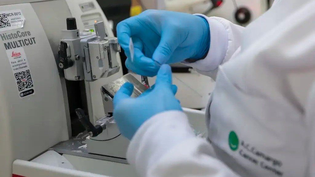 A an&aacute;lise de amostras em laborat&oacute;rio &eacute; fundamental para a confirma&ccedil;&atilde;o de doen&ccedil;as neurodegenerativas como a de Creutzfeldt-Jakob -  (crédito: Paulo Pinto/Ag&ecirc;ncia Brasil)