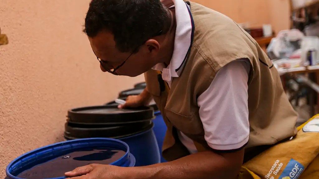 Agente de sa&uacute;de verifica potenciais focos do mosquito transmissor em recipientes com &aacute;gua parada -  (crédito: Marcelo Camargo/Ag&ecirc;ncia Brasil)