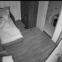 Vídeo: cuidadora é presa por furtar joias de idosos em abrigo -  PCDF/Divulgação