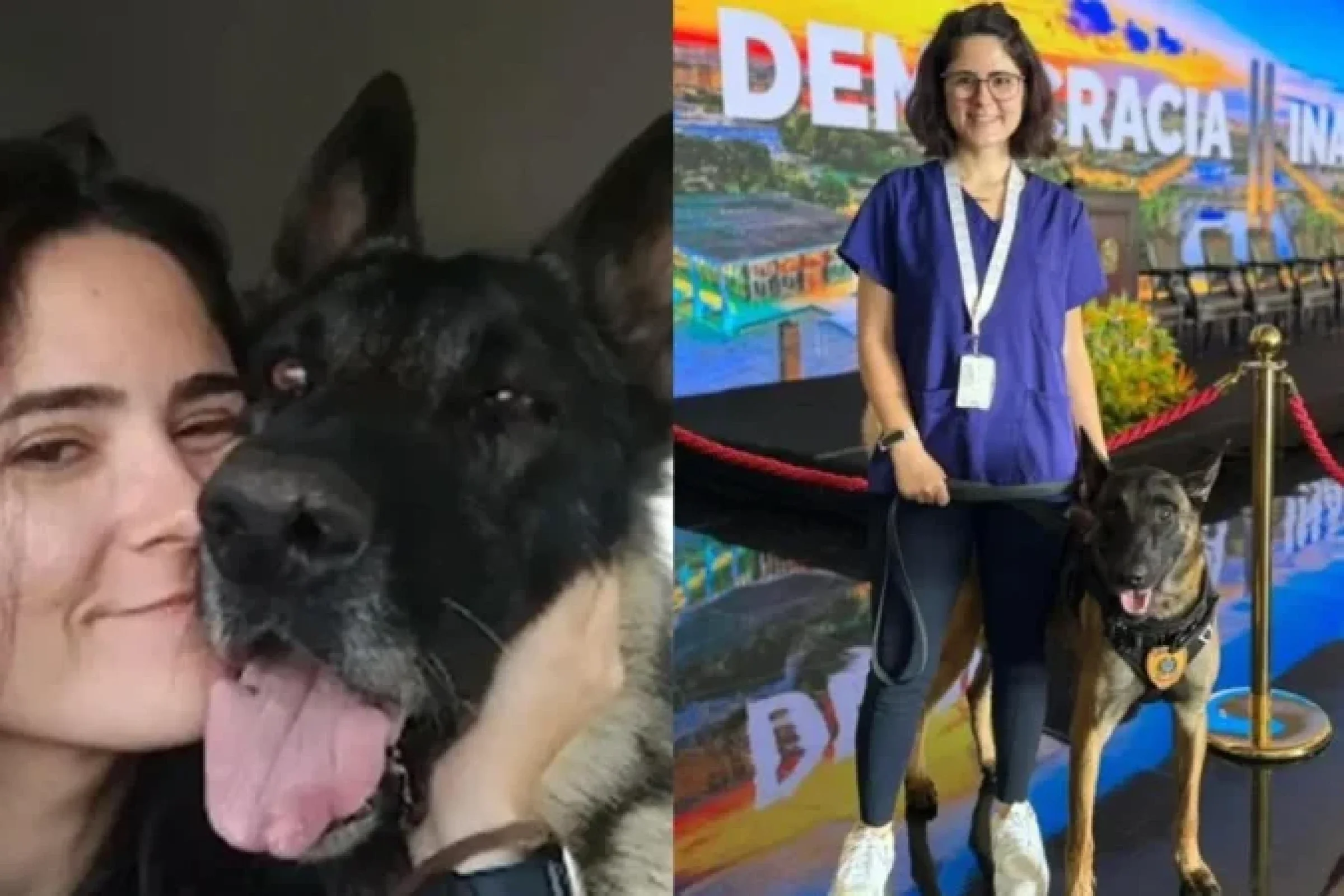 Canil do Senado é fechado após morte de veterinária; PF assume o caso