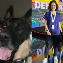 Canil do Senado é fechado após morte de veterinária; PF assume o caso