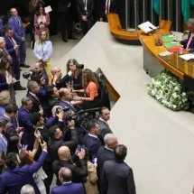 Cláusulas pétreas: o que são e como elas protegem os seus direitos - Fabio Rodrigues / Ag&ecirc;ncia Brasil