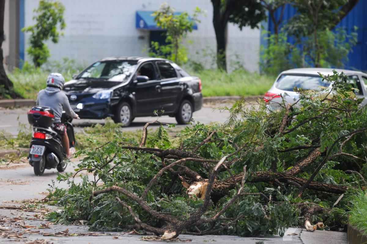 Chuva acompanhada de fortes ventos provocou estragos em bairros da Região Oeste de Belo Horizonte durante a madrugada -  (crédito: Leandro Couri/EM/DA Press)