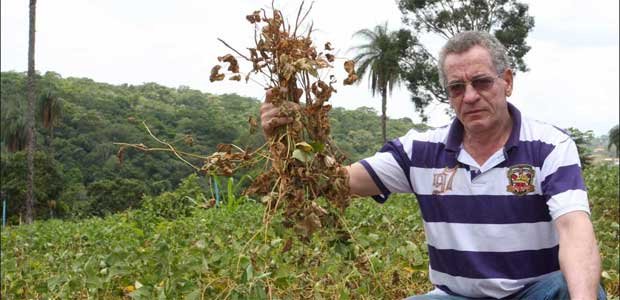 Agricultores da Grande BH se ressentem das perdas provocadas pela estiagem - Edésio Ferreira/EM/D.A Press