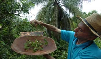 Frutas exóticas começam a conquistar o consumidor - Renato Weil/EM/D.A Press - 11/02/2009 