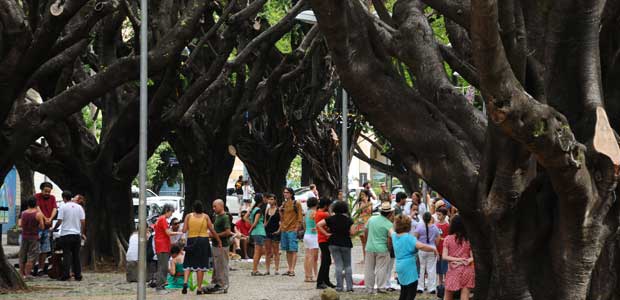 Movimento 'Fica Ficus' faz manifestação na Região Centro-Sul de BH - Euler Júnior/EM/D.A.Press