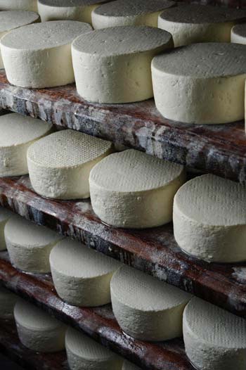 Pesquisadores buscam introduzir queijo do Serro no mercado formal - Mario Castello/Esp. EM 