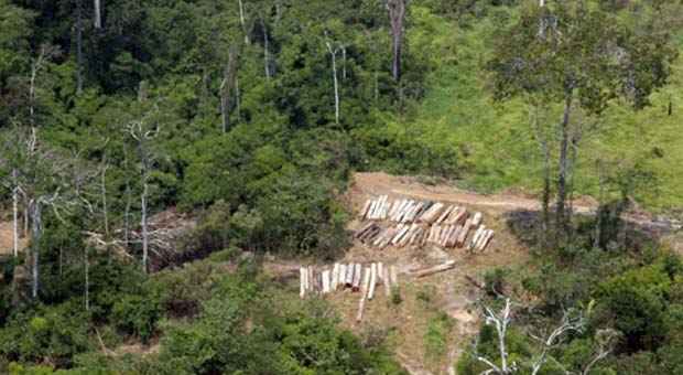 Desmatamento na Amazônia chega a 4.571 km²; o número é o menor desde 1988 - Juvenal Pereira/WWF