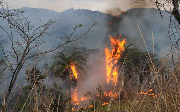 Bombeiros  combatem incêndios na Serra do Curral, Praça JK e Mata da Baleia  - Paulo Filgueiras/EM DA Press