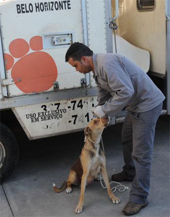 Para defensores dos animais, invasão do Instituto Royal alertou sobre maus-tratos - Gladyston Rodrigues/EM/D.A Press