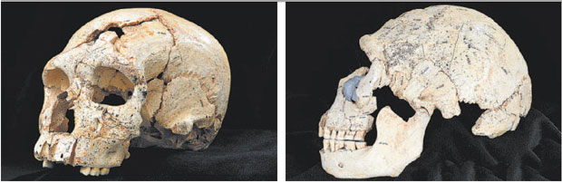 Descoberta de fósseis reescreve a história do neandertal   - Arquivo EM/D.A Press