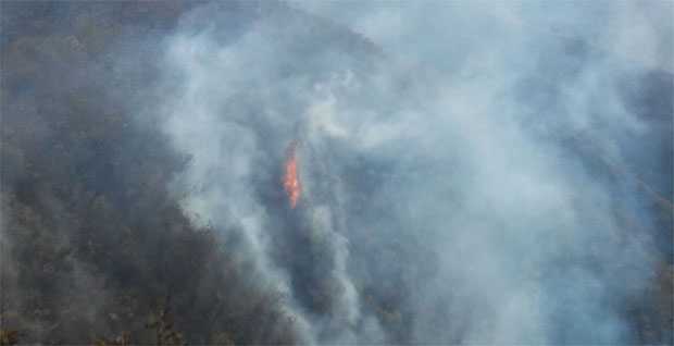 Bombeiros retomam combate a incêndio na Serra do Rola-Moça - Paulo Filgueiras/EM/D.A Press