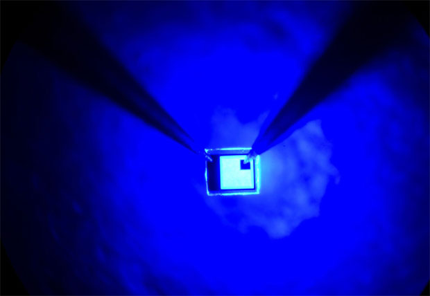 Prêmio Nobel de Física vai para inventores do LED - REUTERS/UCSB Photographic Services/Randall Lamb/Lehtikuva/Files/Handout via Reuters