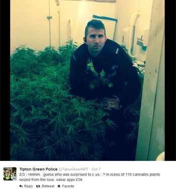 Polícia encontra 110 plantas de maconha dentro de pub inglês