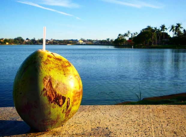 Quase nove toneladas de cocos são recolhidas na orla da Lagoa da Pampulha - Gladyston Rodrigues/EM DA Press