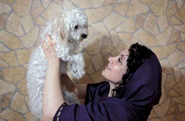 Irã quer castigar donos de cachorros com 74 chicotadas - (AFP Photo)