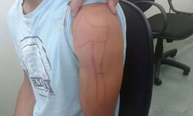 Segurança é preso após decapitar moradores de rua em São Paulo - Divulgação/Polícia Civil