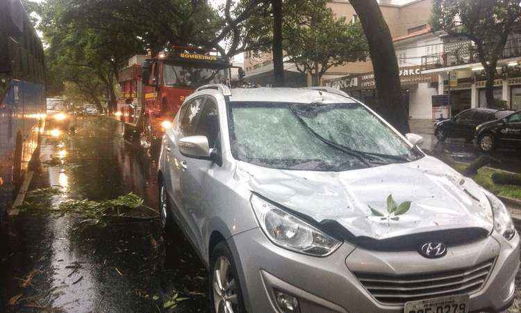 Chuva provoca queda de galho em carros e complica trânsito em BH - Leandro Couri/EM/D.A Press
