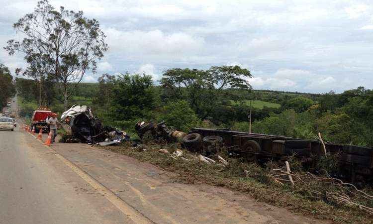 Caminhoneiro morre depois de bater veículo em árvore, na BR-262, em Bom Despacho - Luiz Fernando Motta/EM/D.A Press