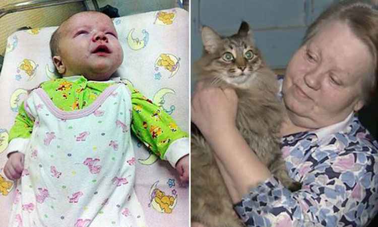 Gato de rua salva vida de bebê abandonado na Rússia - Reprodução/Mirror
