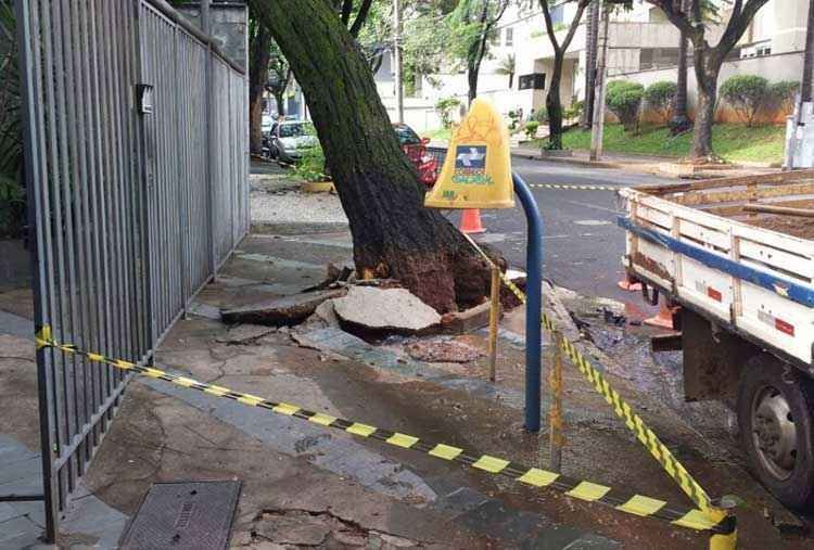 Árvore tomba e raízes rompem adutora da Copasa em BH - Mateus Parreiras/EM DA Press