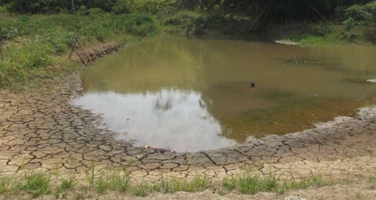 Prefeitura de Recreio decreta situação de emergência por causa da seca e cancela carnaval - Prefeitura de Recreio/ Divulgação