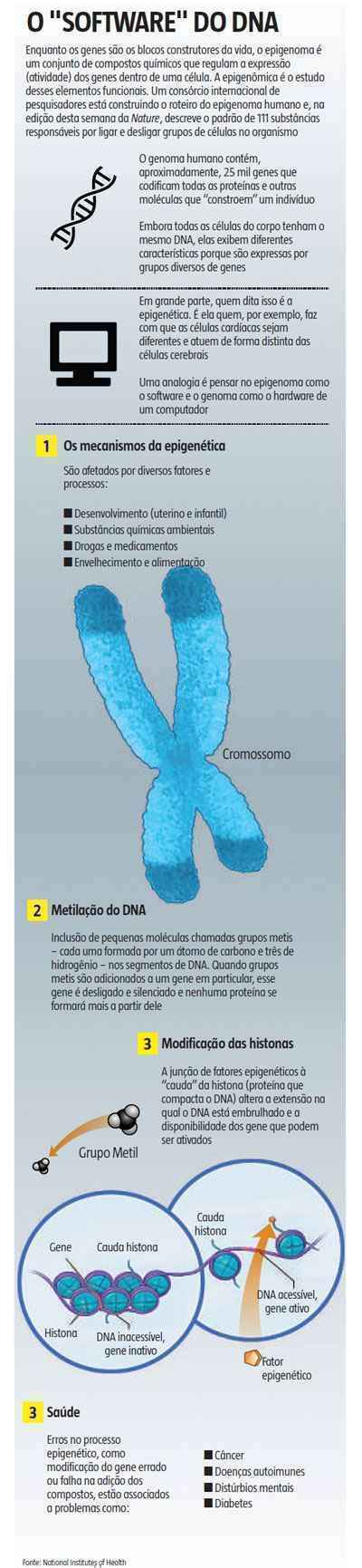 Consórcio internacional publica o mais completo mapeamento do epigenoma humano