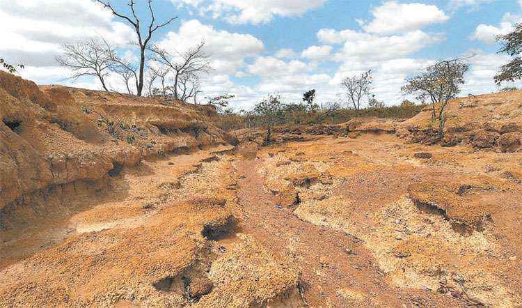Retirada da cobertura vegetal do solo contribui para reduzir mais a água nas torneiras  - Beto Novaes/EM/D.A PRESS