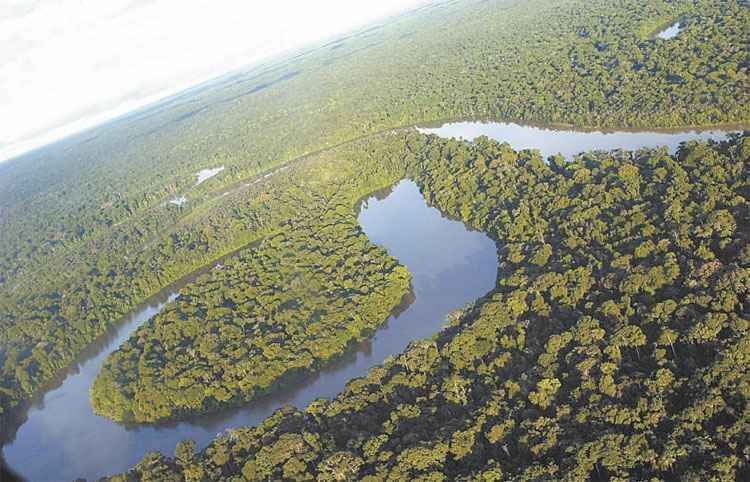 Floresta Amazônica está doente com muito sol e falta d'água - VICTOR SOARES/AGÊNCIA BRASIL - 26/6/03