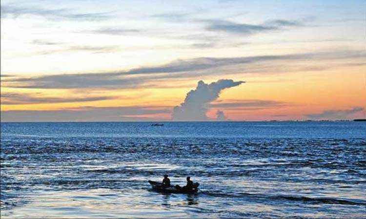 Região Amazônica tem perigos no ar, na terra e no rio - Alexandre Guzanshe/Em/D.A Press