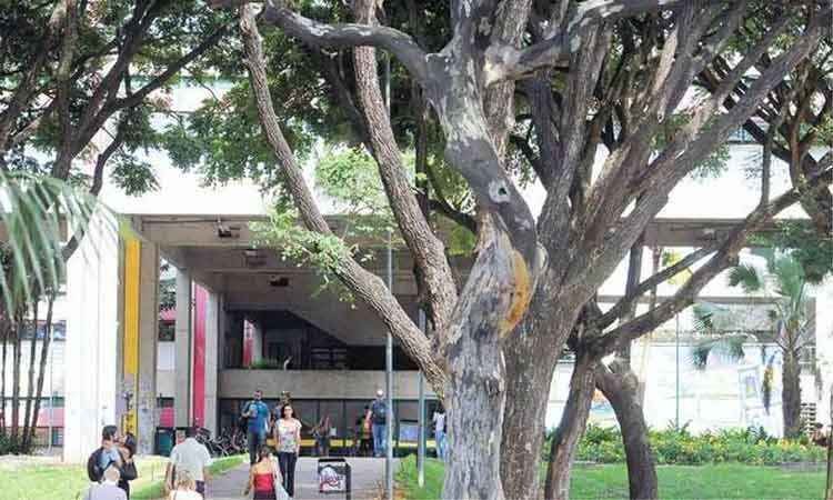 Alunos da UFMG cobram providências para coibir tráfico de drogas no câmpus - Gladyston Rodrigues/EM/D.A Press