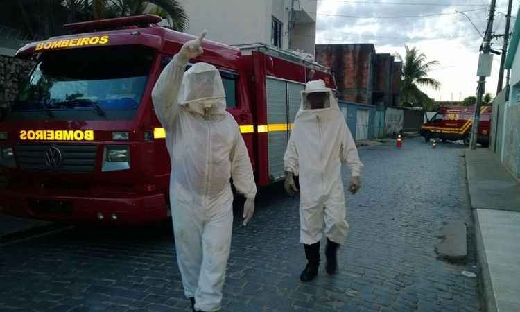 Idoso sofre ataque de abelhas e morre em Januária, Região Norte de Minas - Corpo de Bombeiros/Divulgação