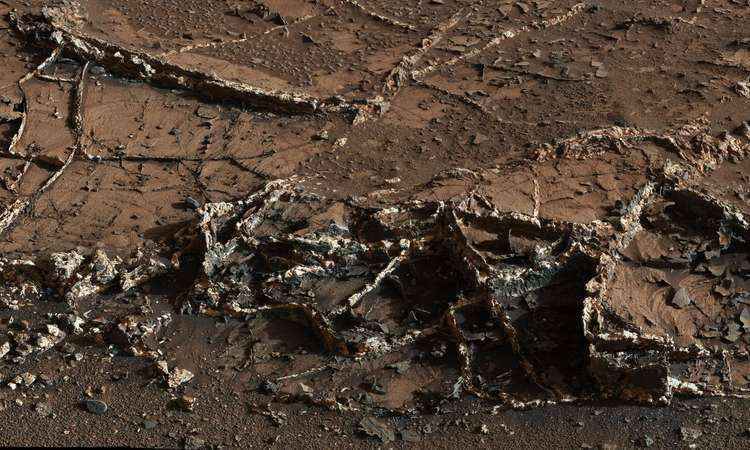Veículo da Nasa reacende esperança de achar água em Marte - AFP PHOTO/NASA