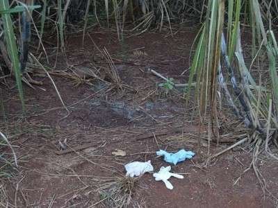 Corpo encontrado pode ser de menina desaparecida em Ribeirão Preto - Polícia Civil/Divulgação 