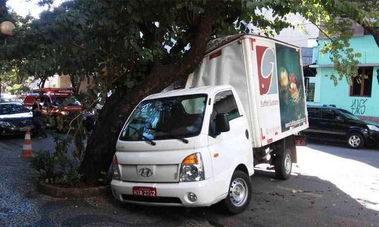 Caminhão-baú bate em árvore na Região Centro-Sul de BH - Paulo Filgueiras/EM/DA Press
