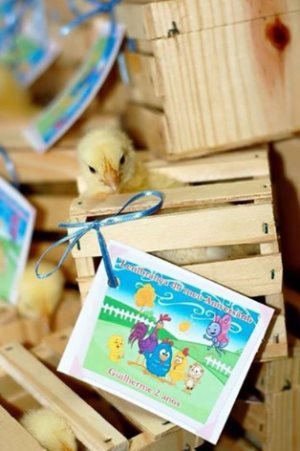 Entrega de pintinho como lembrança de festa infantil gera polêmica no Sul de Minas - Rerpdoução/Facebook