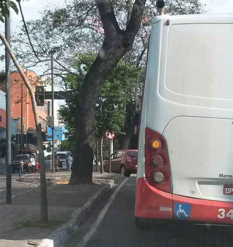 Sinal de trânsito atrás de arbusto é "pegadinha" no Centro de BH - Roney Garcia/EM DA Press