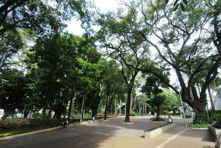 Parque Rosinha Cadar é oásis no Santo Agostinho - Euler Junior/EM/D.A Press
