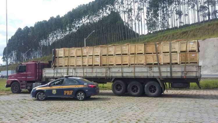 Caminhoneiro com sinais de embriaguez faz manobra perigosa na estrada e é preso na BR-381 - PRF/Divulgação