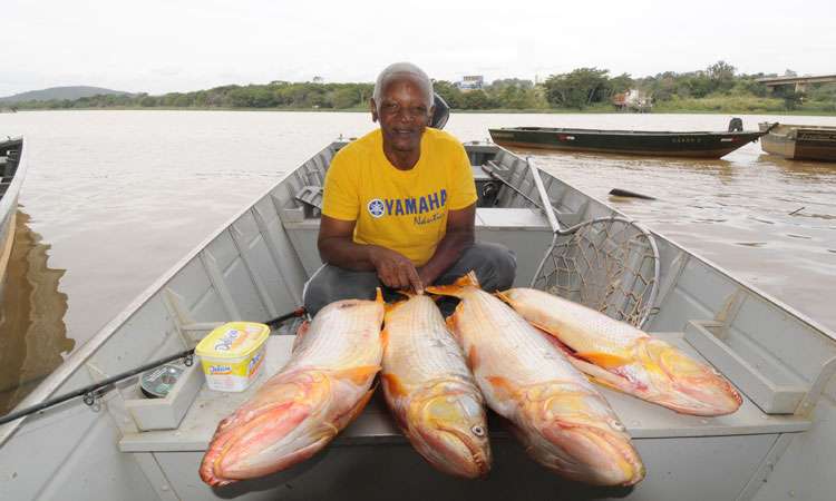 Pescador diz ter colocado jacarés na Lagoa da Pampulha - Beto Novaes/EM/D.A Press