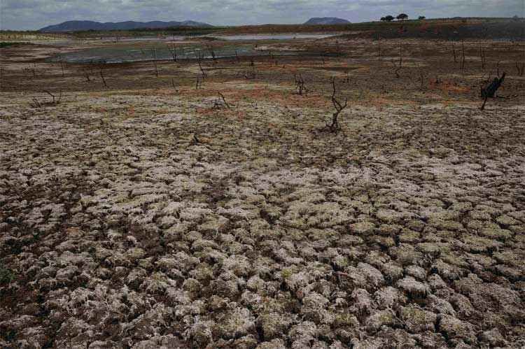 Estudo mapeia as regiões mais suscetíveis à desertificação no Brasil - Lunae Parracho/Reuters 