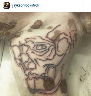Jovem tatua cadela e polícia instaura procedimento para apurar se houve maus-tratos - Reprodução/Instagram