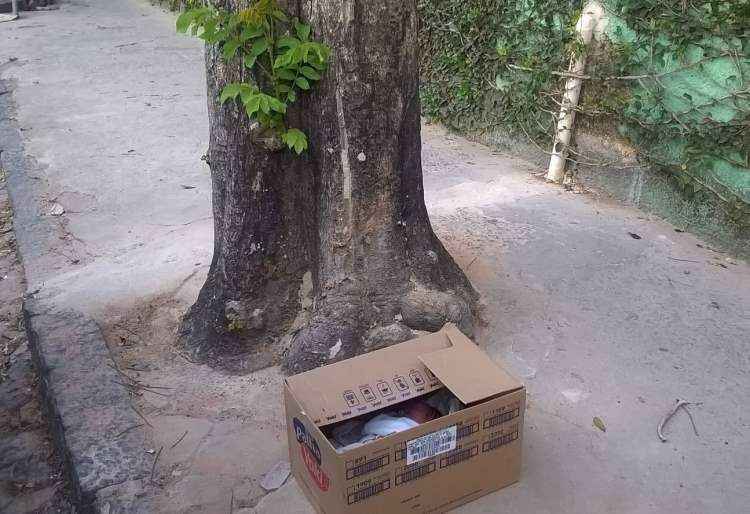 Bebê é encontrado abandonado em caixa de papelão na região da Pampulha  - Ernanni Coelho Prates/Arquivo Pessoal 