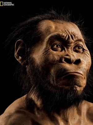 Pesquisadores descobrem espécie do gênero humano na África do Sul - National Geographic