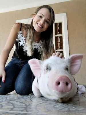 Xodós inusitados  - Beto Novaes/EM/D.A Press