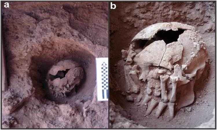 Crânio de 9 mil anos escondido por mãos amputadas é achado em Minas Gerais - Max Planck de Antropologia Evolucionária/Divulgação
 